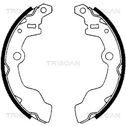 Sada brzdových čeľustí TRISCAN 8100 69002