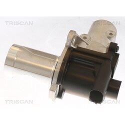 EGR ventil TRISCAN 8813 29101 - obr. 2