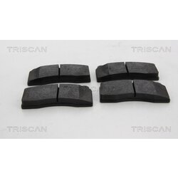 Sada brzdových platničiek kotúčovej brzdy TRISCAN 8110 10593