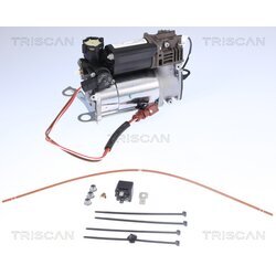 Kompresor pneumatického systému TRISCAN 8725 29101 - obr. 4