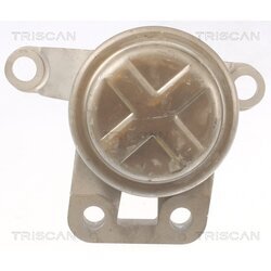 Uloženie motora TRISCAN 8505 10108