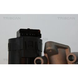 EGR ventil TRISCAN 8813 10001 - obr. 1