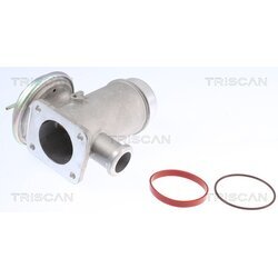 EGR ventil TRISCAN 8813 11102 - obr. 1