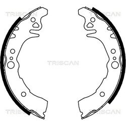 Sada brzdových čeľustí TRISCAN 8100 10026
