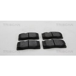 Sada brzdových platničiek kotúčovej brzdy TRISCAN 8110 13103