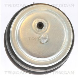 Uloženie motora TRISCAN 8505 11113