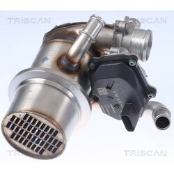 EGR ventil TRISCAN 8813 29345