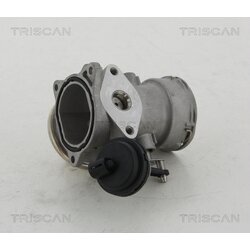EGR ventil TRISCAN 8813 16023 - obr. 1