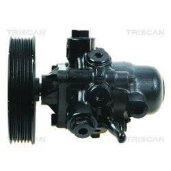 Hydraulické čerpadlo pre riadenie TRISCAN 8515 38613