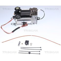 Kompresor pneumatického systému TRISCAN 8725 29101 - obr. 1
