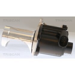EGR ventil TRISCAN 8813 29101 - obr. 1
