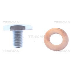Skrutka olejovej vane TRISCAN 9500 1010-20