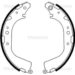 Sada brzdových čeľustí TRISCAN 8100 10425